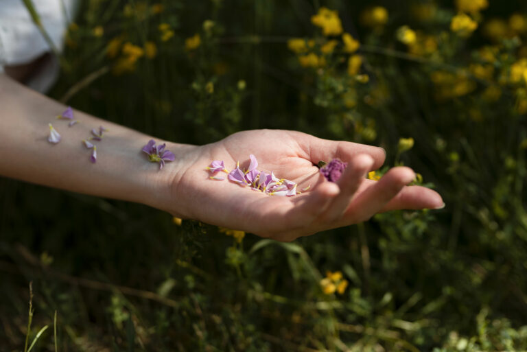 À chacun son immunité : écouter et ré harmoniser votre jardin intérieur